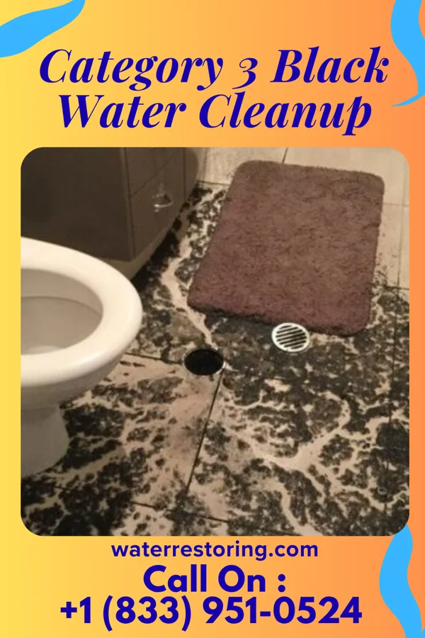 Category 3 Black Water Cleanup in Mulberry, FL