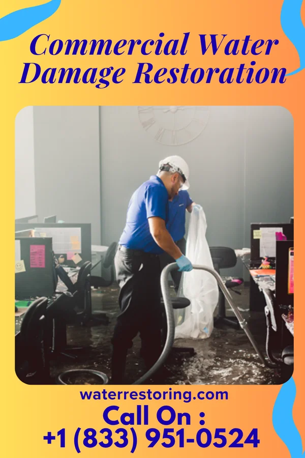Commercial Water Damage Restoration in Mulberry, FL